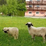 Hinterlechnerhof Вестендорф