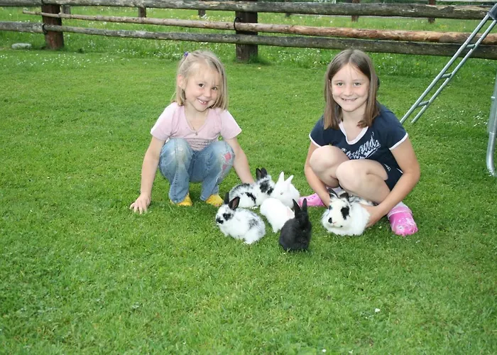 Hinterlechnerhof بيت ضيافة *