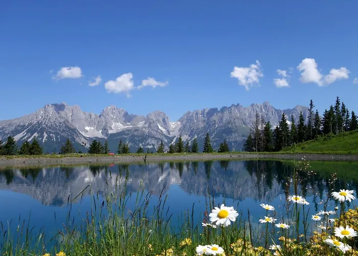 Hinterlechnerhof بيت ضيافة *