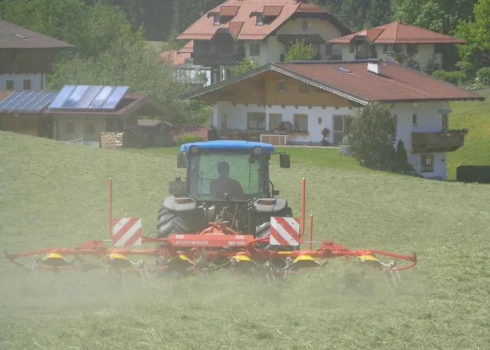 Hinterlechnerhof * وستندورف