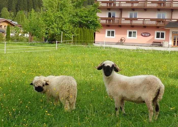 Hinterlechnerhof 韦斯滕多夫